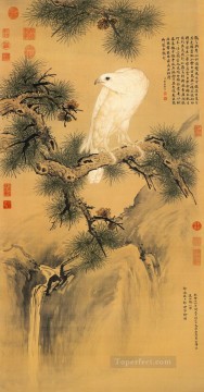  Castiglione Painting - Lang shining white bird on pine old China ink Giuseppe Castiglione